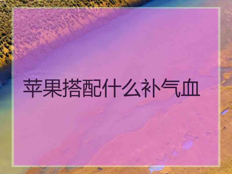 苹果搭配什么补气血