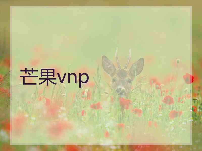 芒果vnp