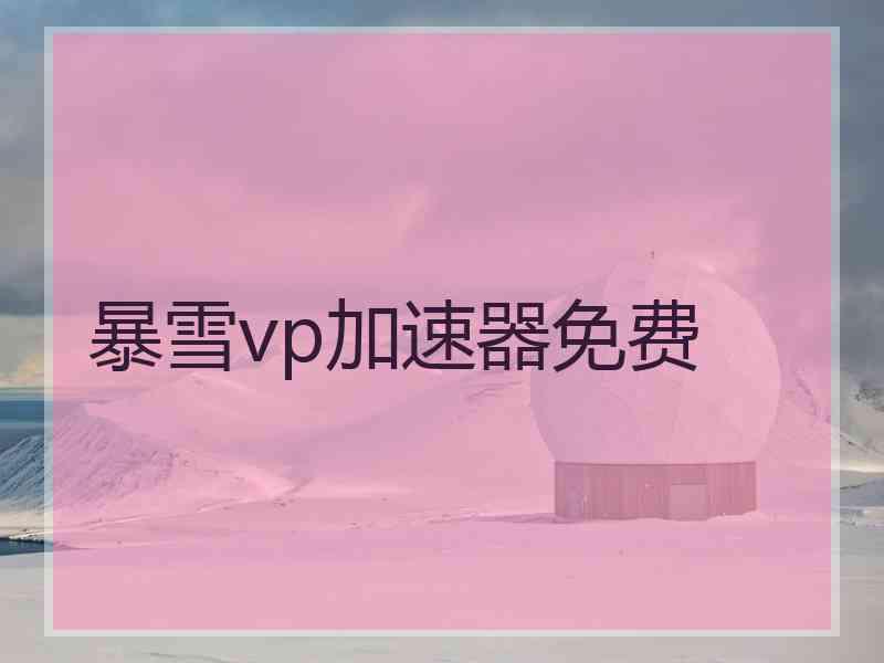 暴雪vp加速器免费