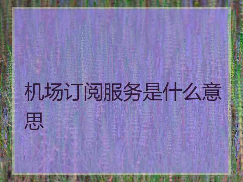 机场订阅服务是什么意思