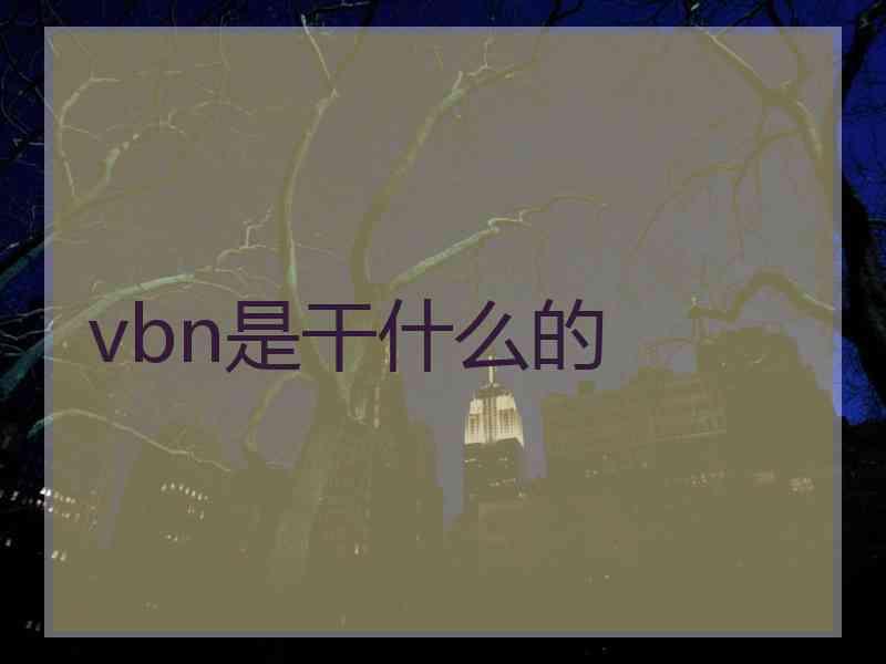 vbn是干什么的