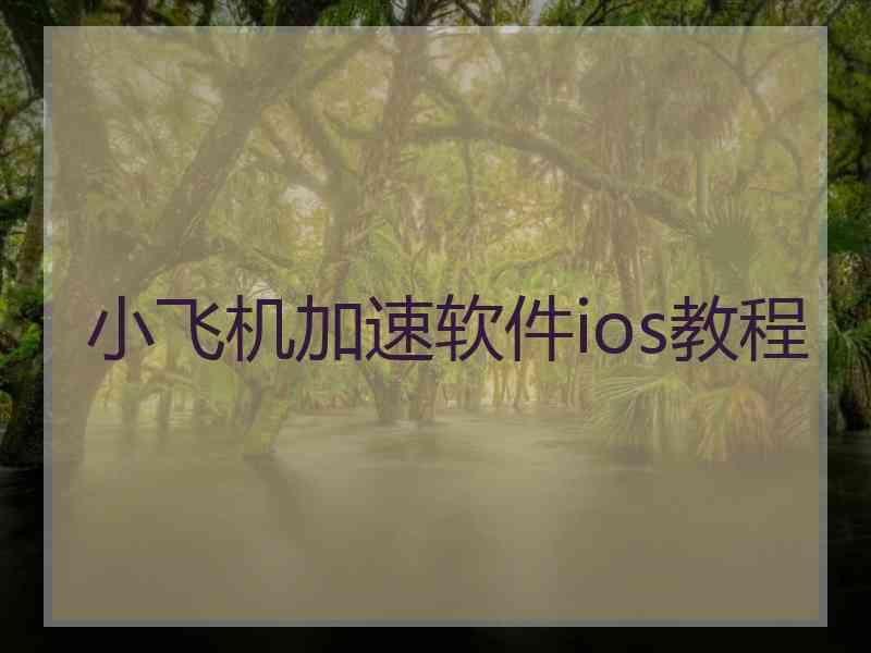 小飞机加速软件ios教程