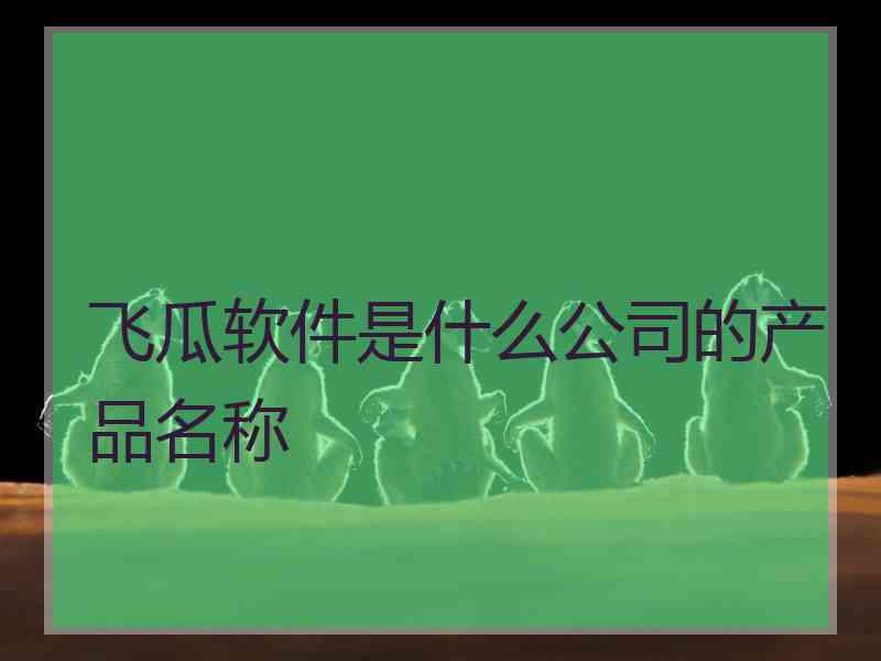 飞瓜软件是什么公司的产品名称