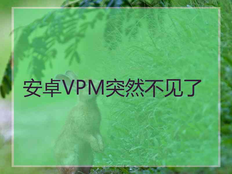 安卓VPM突然不见了