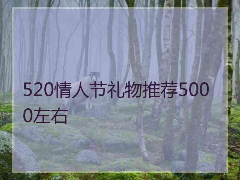 520情人节礼物推荐5000左右