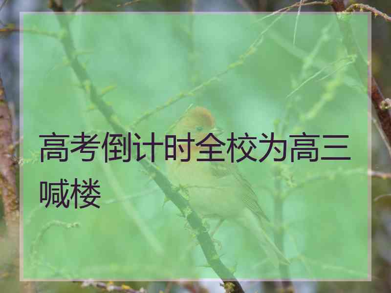 高考倒计时全校为高三喊楼