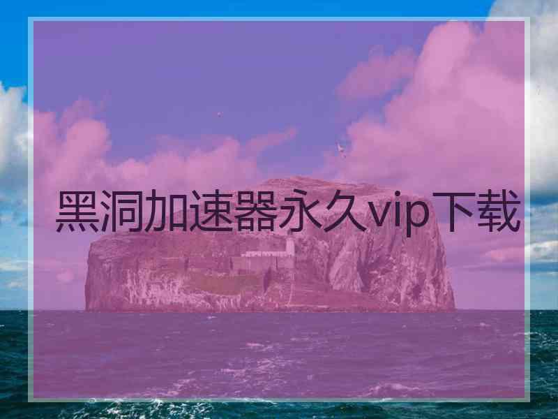 黑洞加速器永久vip下载