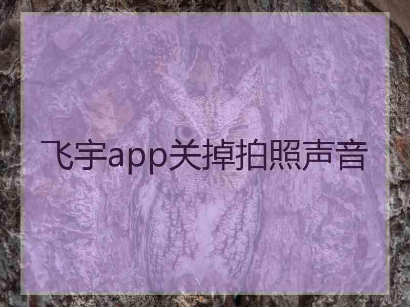 飞宇app关掉拍照声音