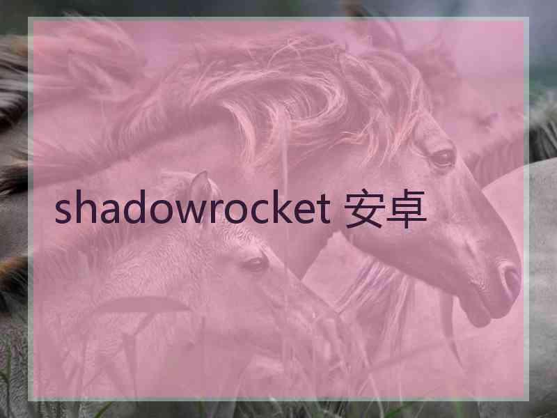 shadowrocket 安卓