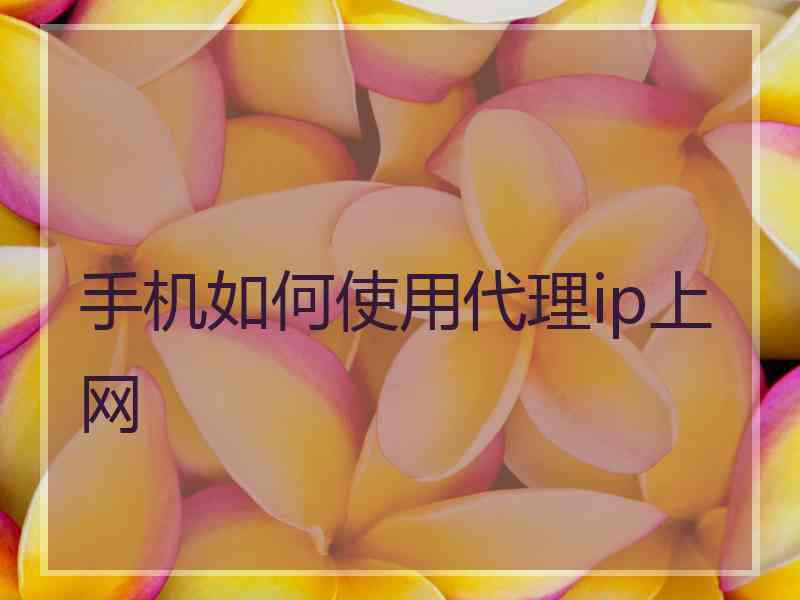 手机如何使用代理ip上网