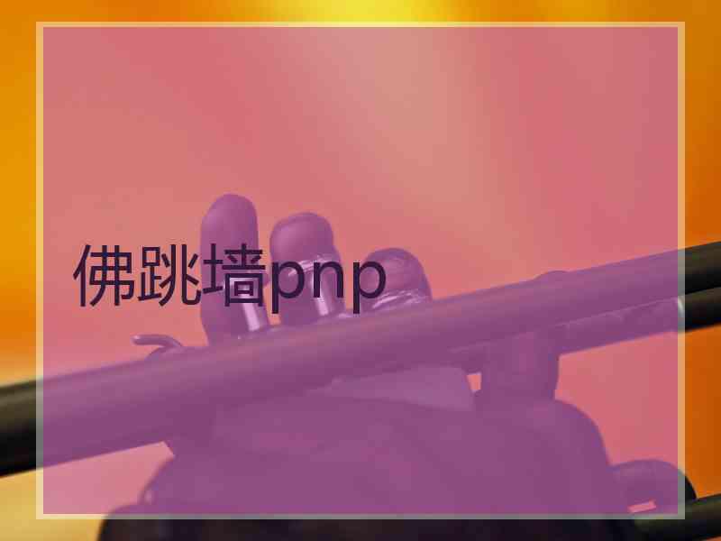 佛跳墙pnp