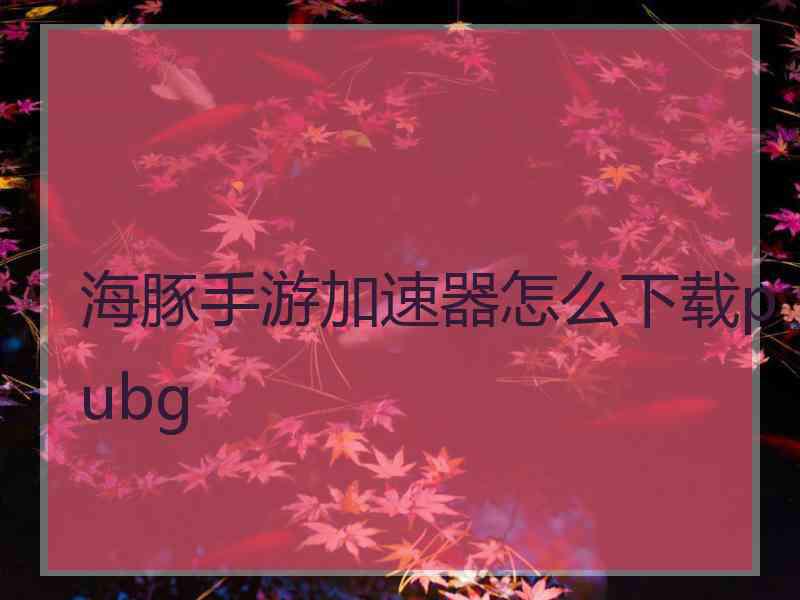 海豚手游加速器怎么下载pubg