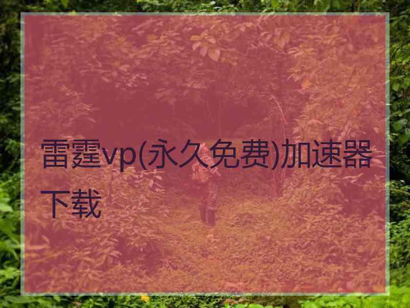 雷霆vp(永久免费)加速器下载