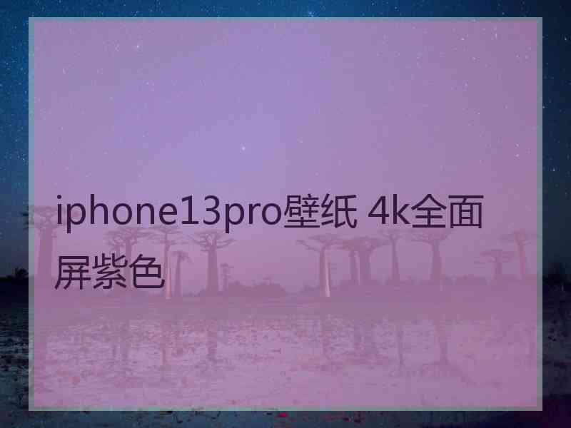 iphone13pro壁纸 4k全面屏紫色