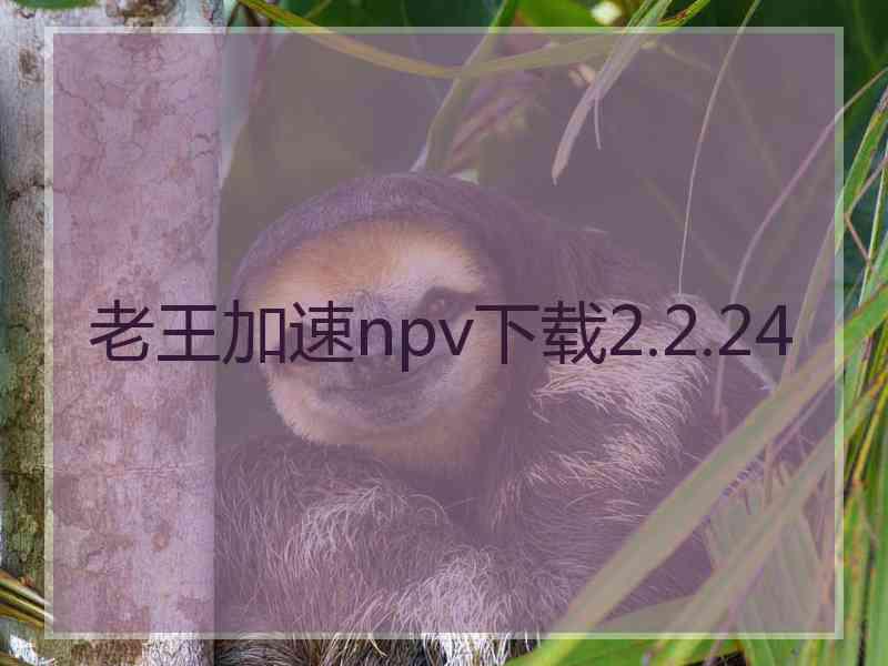 老王加速npv下载2.2.24