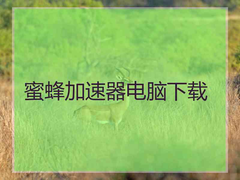 蜜蜂加速器电脑下载