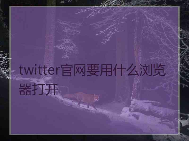 twitter官网要用什么浏览器打开