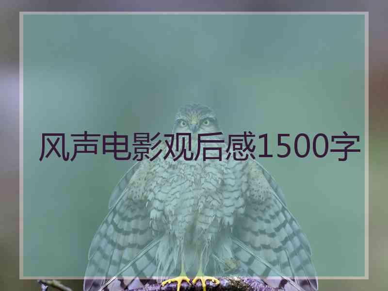 风声电影观后感1500字