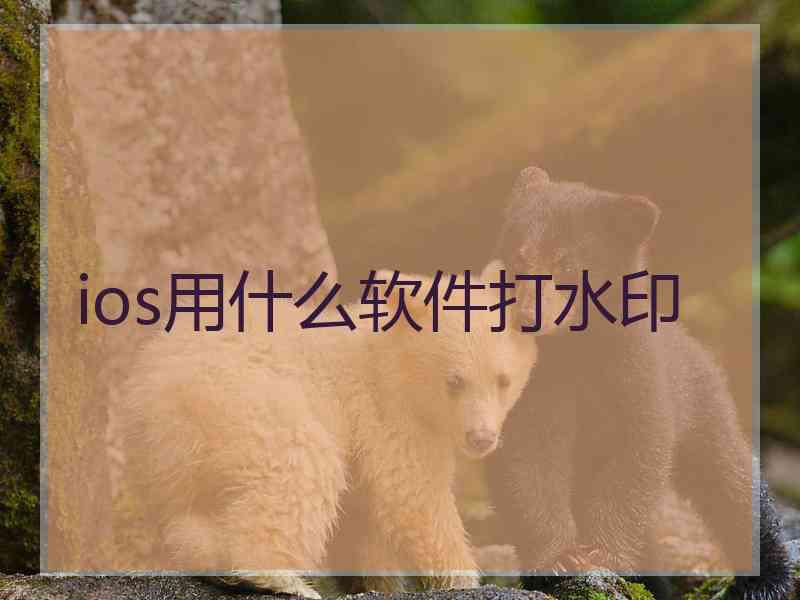 ios用什么软件打水印