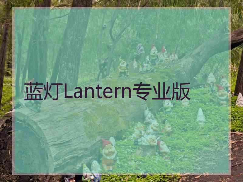 蓝灯Lantern专业版