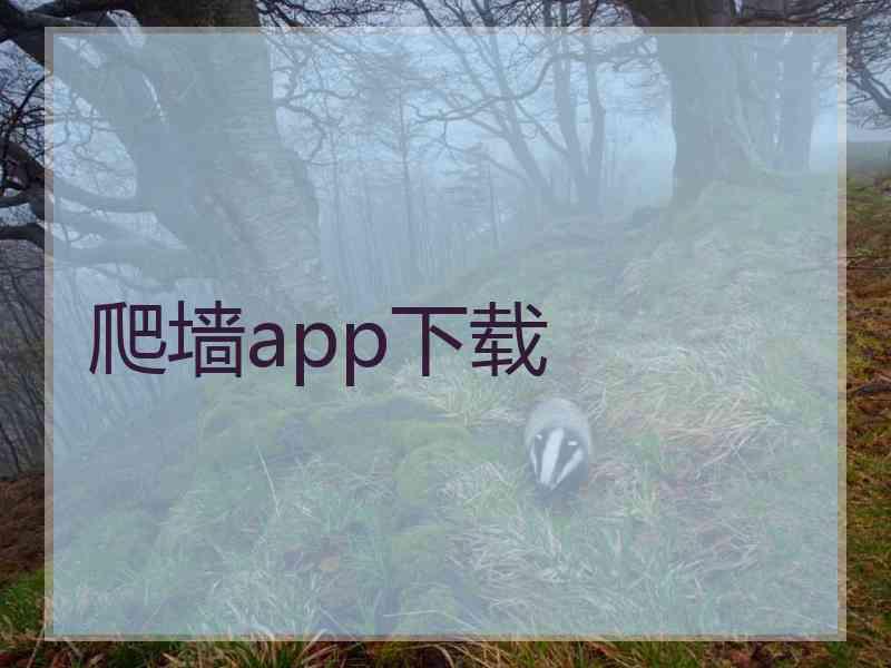 爬墙app下载