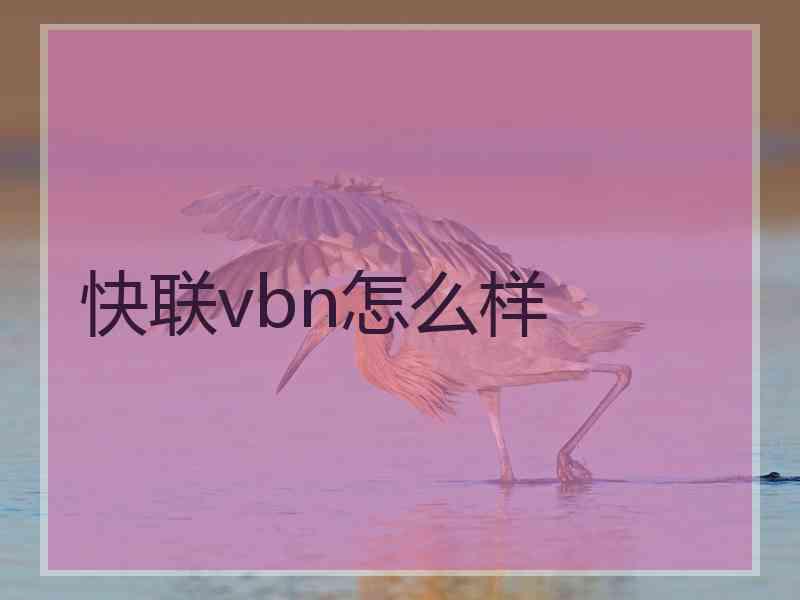 快联vbn怎么样