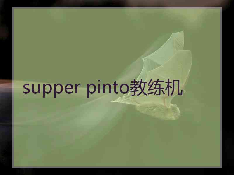 supper pinto教练机