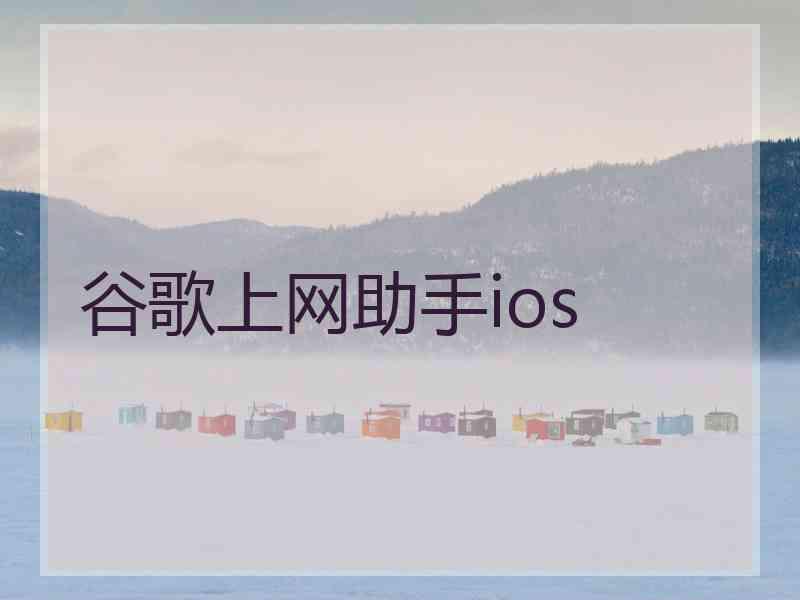 谷歌上网助手ios