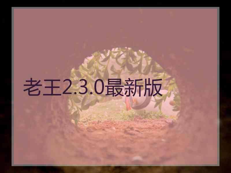 老王2.3.0最新版