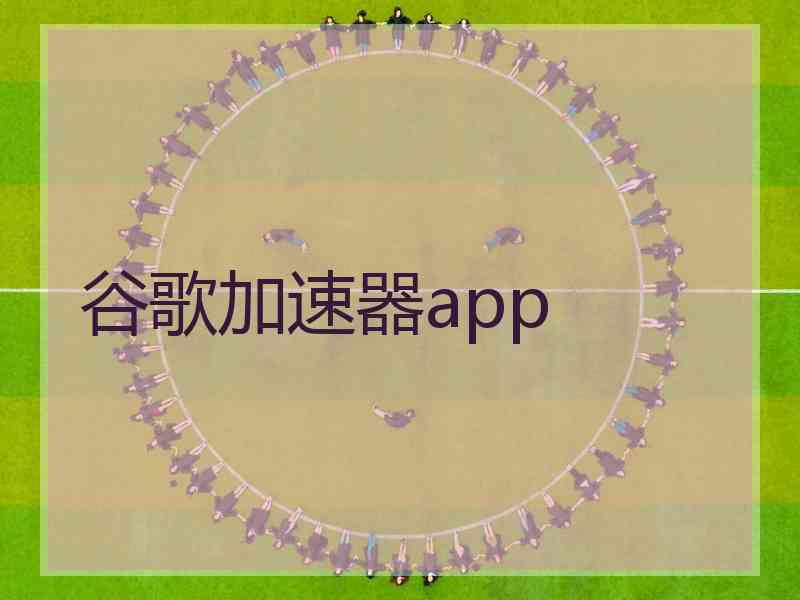 谷歌加速器app