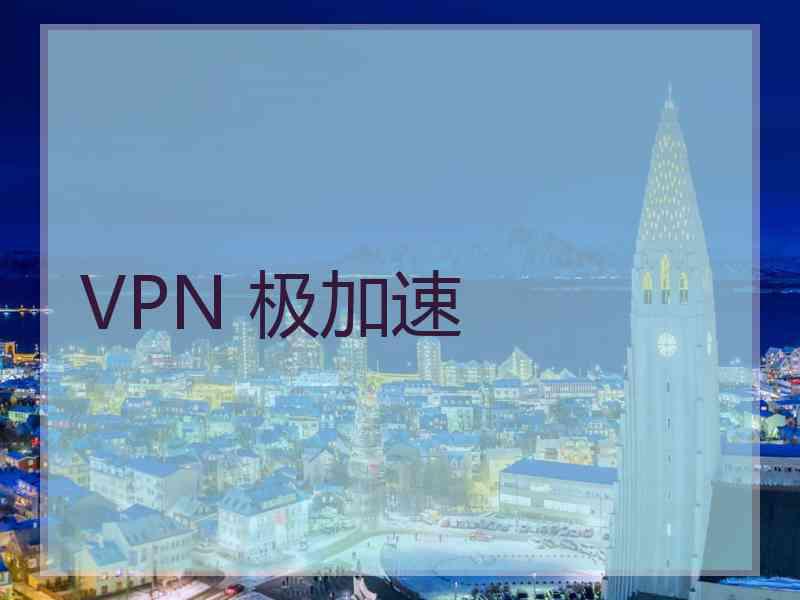 VPN 极加速