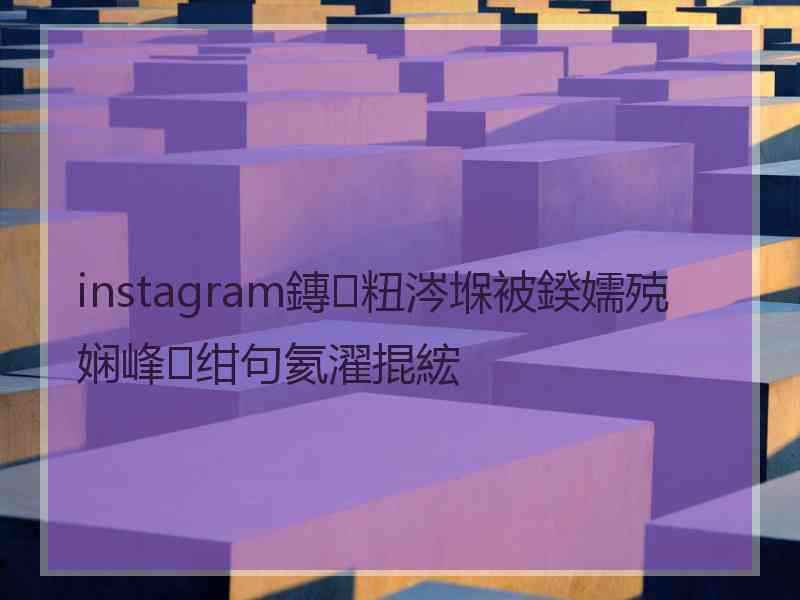 instagram鏄粈涔堢被鍨嬬殑娴峰绀句氦濯掍綋