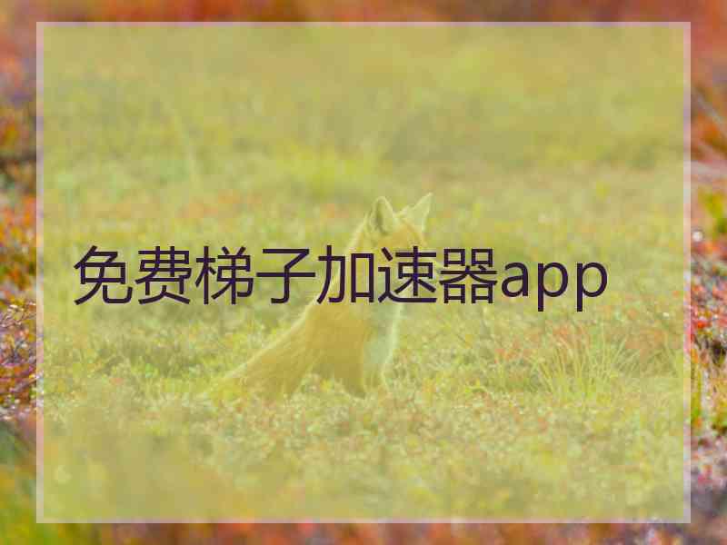 免费梯子加速器app