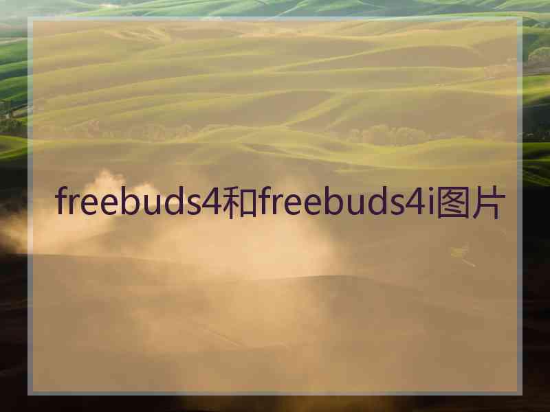 freebuds4和freebuds4i图片