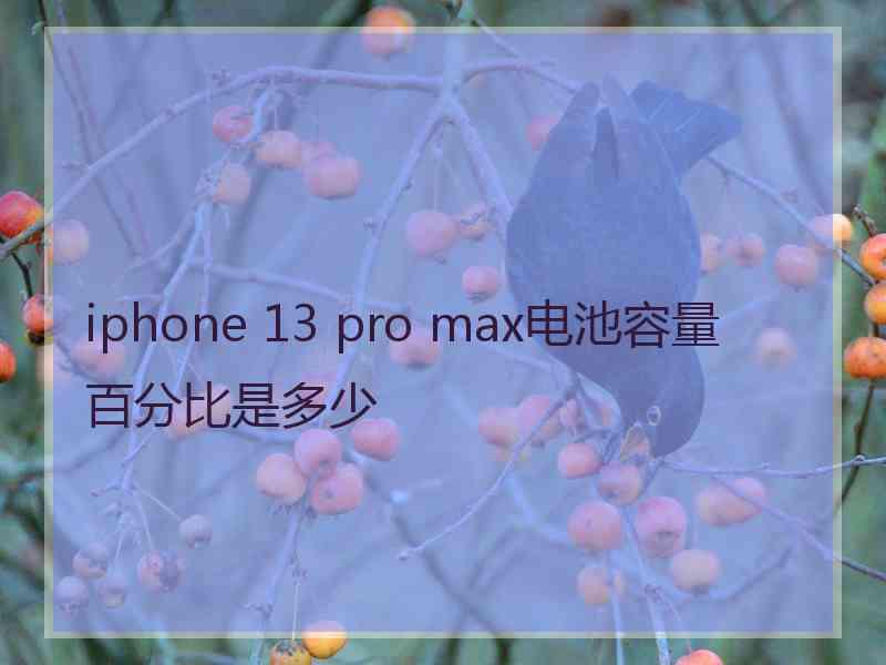 iphone 13 pro max电池容量百分比是多少