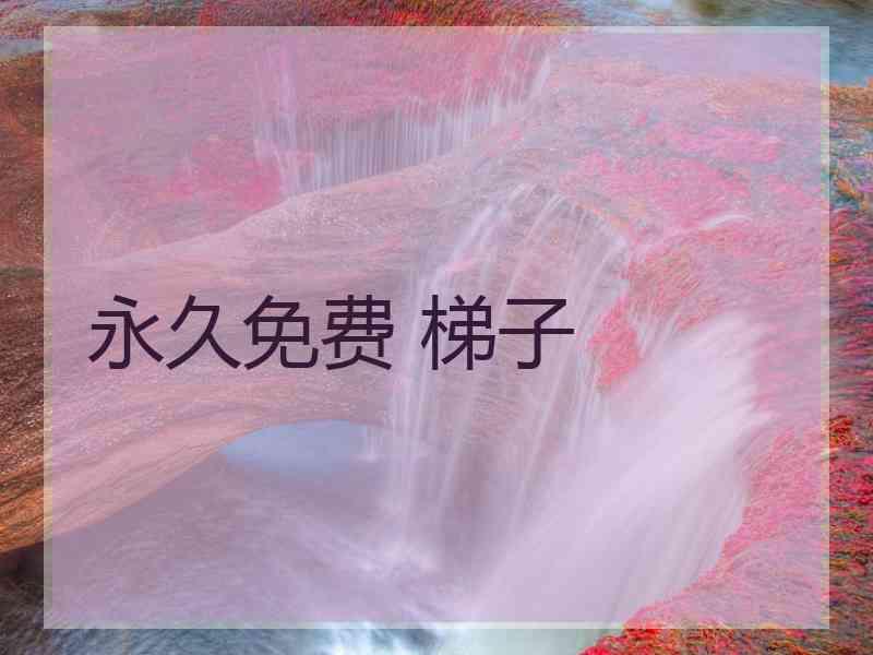 永久免费 梯子