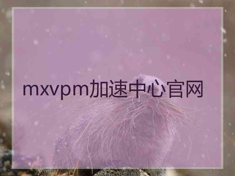 mxvpm加速中心官网