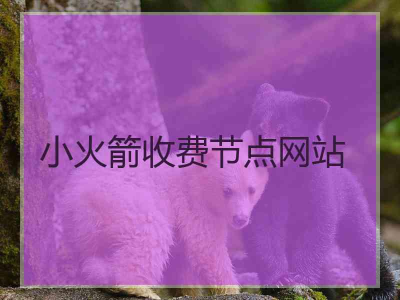 小火箭收费节点网站