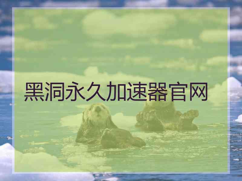 黑洞永久加速器官网