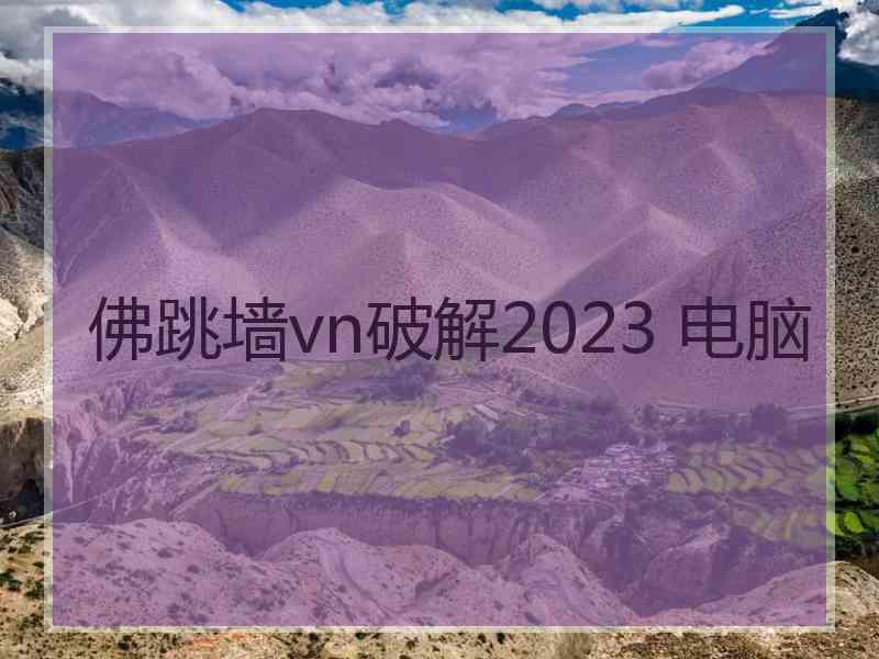 佛跳墙vn破解2023 电脑