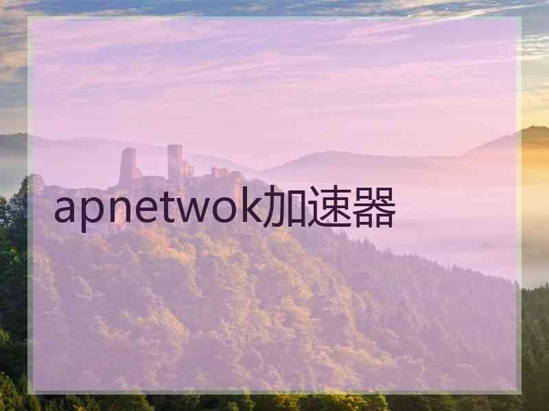 apnetwok加速器