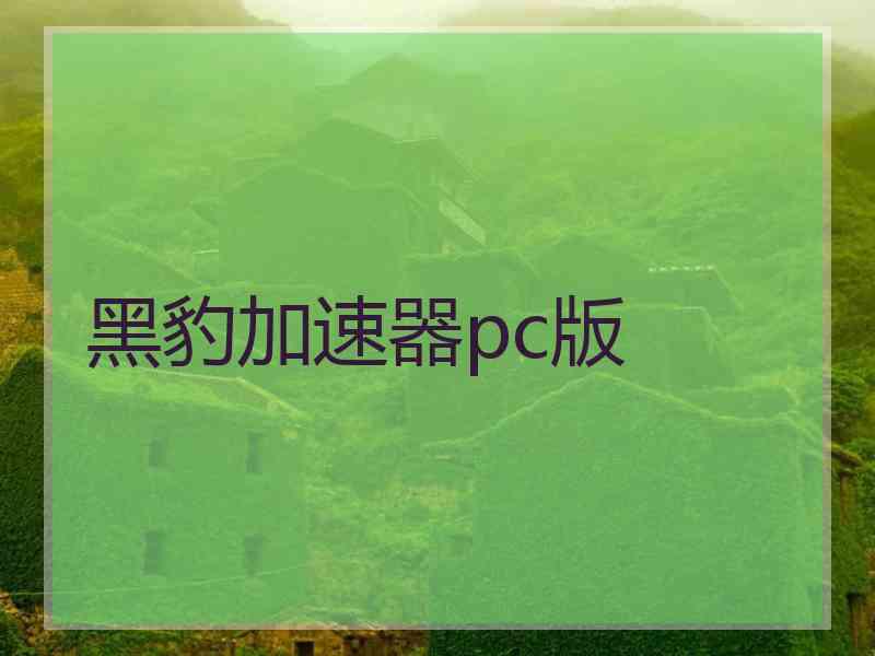 黑豹加速器pc版