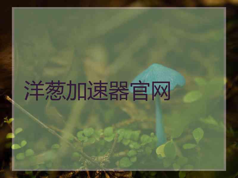 洋葱加速器官网