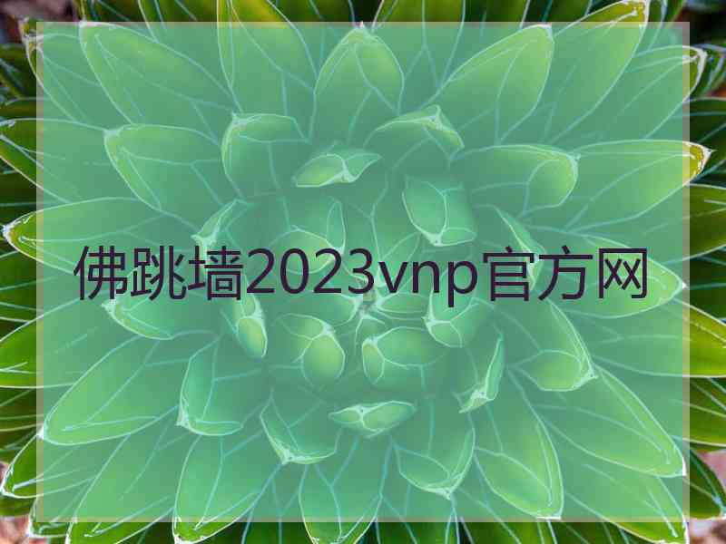 佛跳墙2023vnp官方网