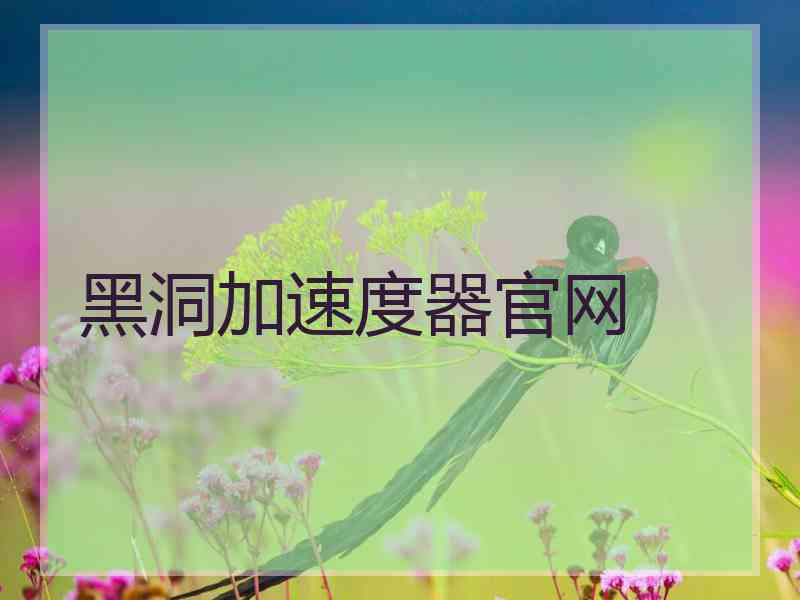 黑洞加速度器官网