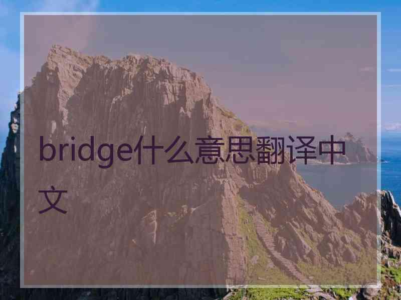 bridge什么意思翻译中文