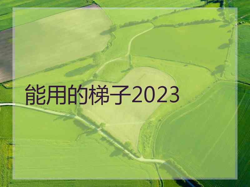 能用的梯子2023