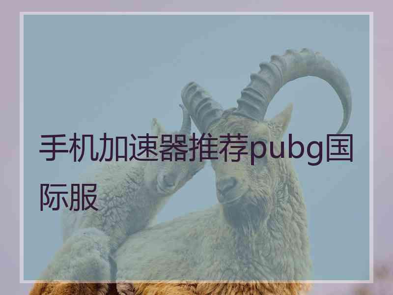 手机加速器推荐pubg国际服