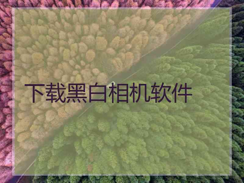 下载黑白相机软件