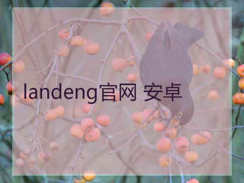 landeng官网 安卓